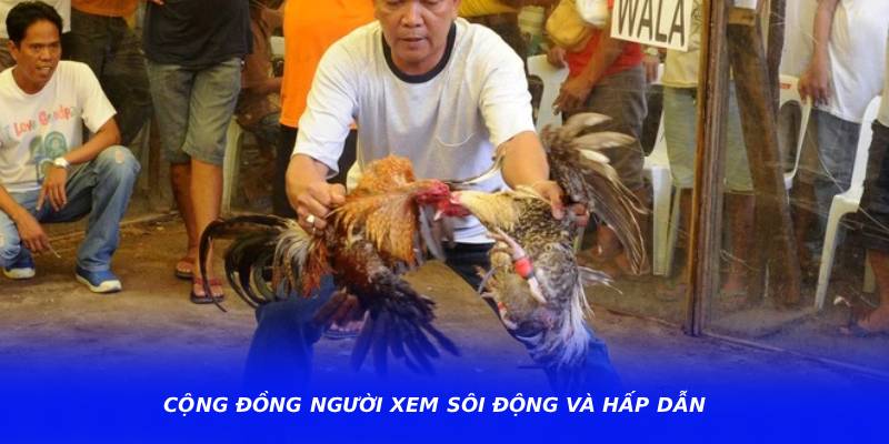 Cộng đồng người xem sôi động và hấp dẫn
